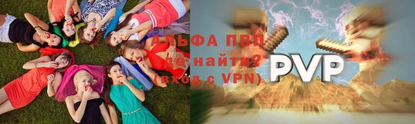 гидра Бронницы