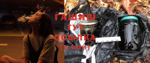 2c-b Бородино