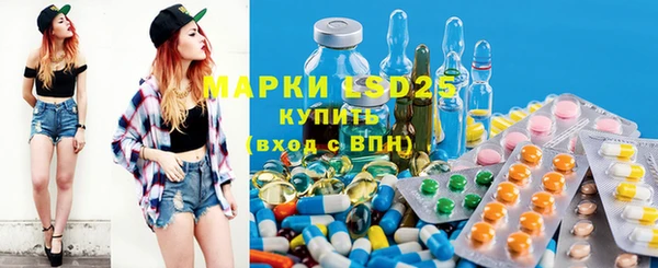 2c-b Бородино