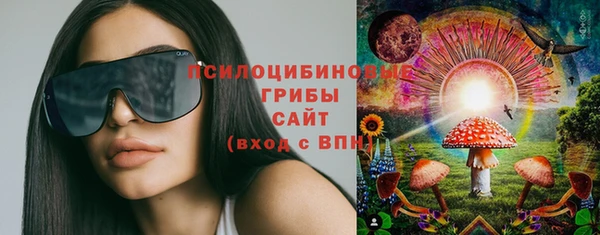 гидра Бронницы